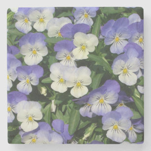 Lila Stiefmütterchen Garten Blumen Steinuntersetzer