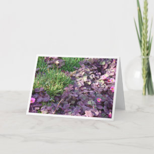 Lila Stiefmütterchen Karte