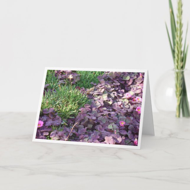 Lila Stiefmütterchen Karte (Vorderseite)