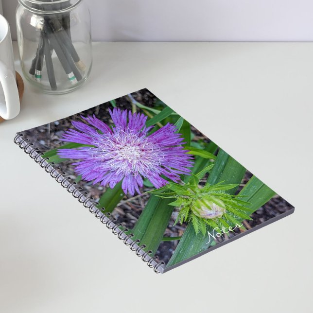 Lila Stoke's Aster Floral Notizblock (In Situ)