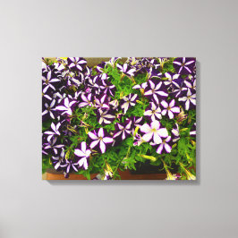 Lila Striped Petunias Leinwanddruck