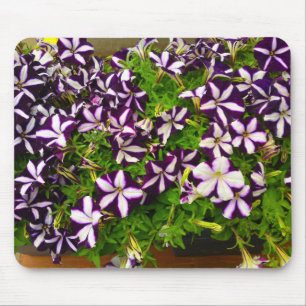 Lila Striped Petunias Mousepad