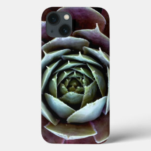 Lila Sukkulentes Nah-Up Case-Mate iPhone Hülle