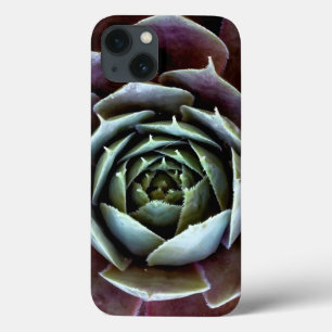 Lila Sukkulentes Nah-Up Case-Mate iPhone Hülle
