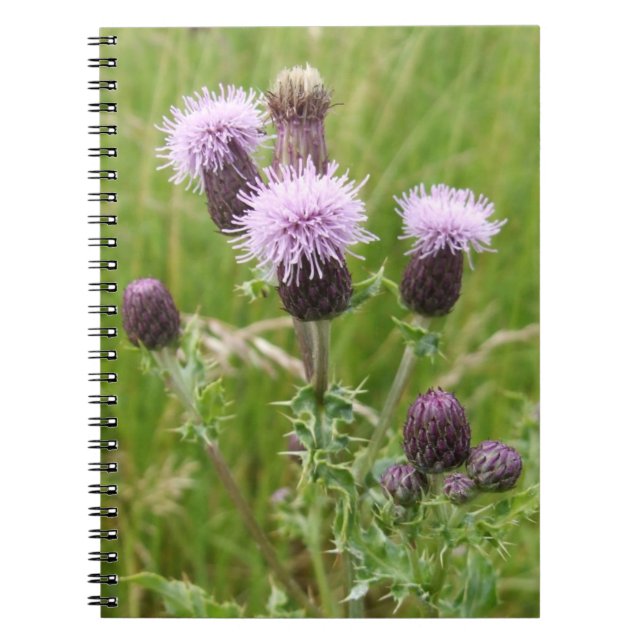 Lila Thistle-Notebook Notizblock (Vorderseite)