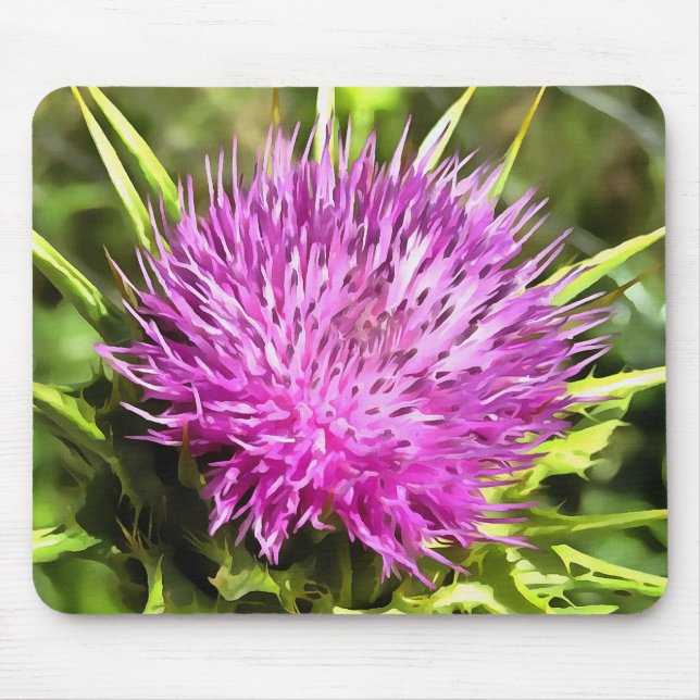 Lila Thistle Wildblume Blumenmuseum Mousepad (Vorne)