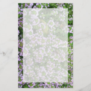 Lila Thymian Briefpapier