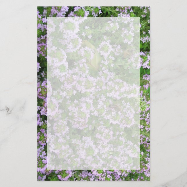 Lila Thymian Briefpapier (Vorderseite)