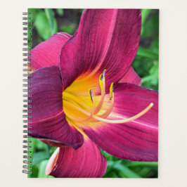Lila Tiger Lily Planner Planer