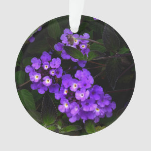 Lila Trailing Lantana #1 Ornament