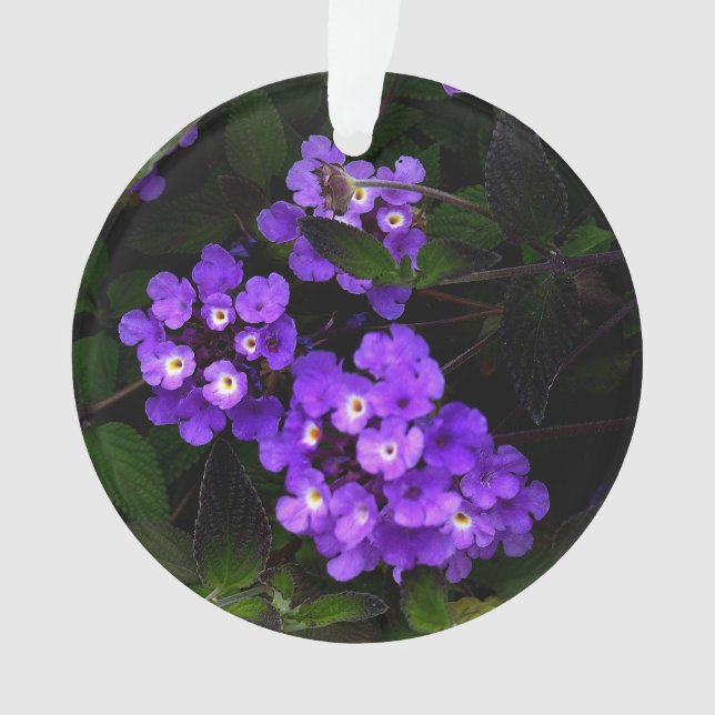 Lila Trailing Lantana #1 Ornament (Vorderseite)
