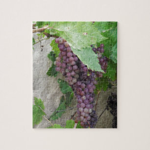 Lila Trauben am Weinstock Puzzle