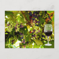Lila Trauben Weinbau mit Wineglass