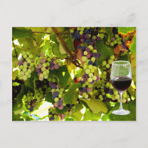 Lila Trauben Weinbau mit Wineglass Postkarte