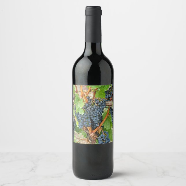 Lila Trauben Weinetikett (Vorderseite)