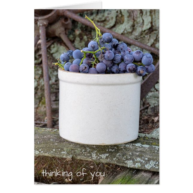 lila Traubensaft in alten Steinwaren (Vorne)