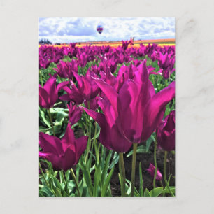 Lila Traum Postkarte