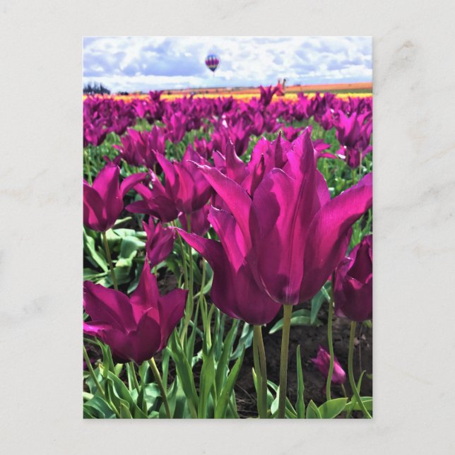 Lila Traum Postkarte (Vorderseite)