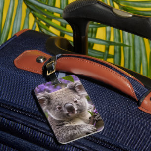 "Lila träumen: Ein Koala in einem Jacaranda-Baum Gepäckanhänger