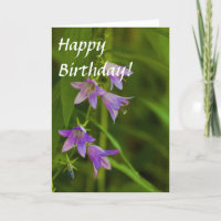 Lila Trompete-Wildblumen