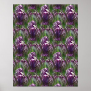 Lila Tulip Blume Naturmuster Poster