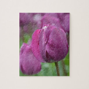 Lila Tulip mit Wassertropfen Puzzle