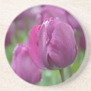 Lila Tulip mit Wassertropfen Sandstein Untersetzer