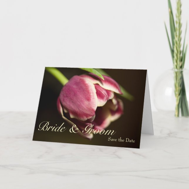 Lila Tulip ・ Save the Date Karte (Vorderseite)