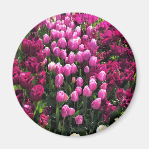 Lila Tulips Garden Bed and Breakfast Magnet