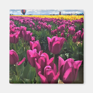 Lila Tulips in einem Feld mit Heißluftballon Magnet
