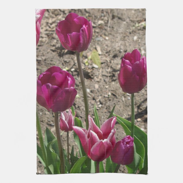 Lila Tulips Küchentücher (Vertikal)