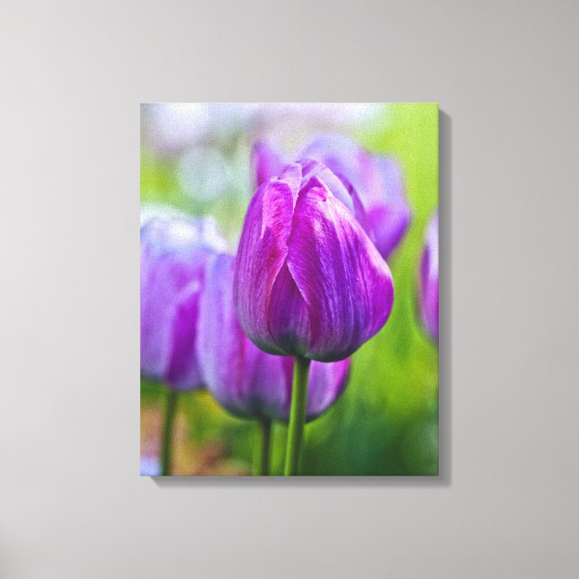 Lila Tulips Leinwanddruck (Vorderseite)