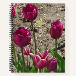 Lila Tulips-Notebook Notizbuch