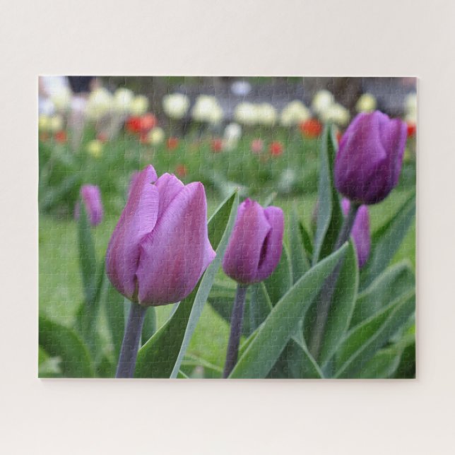Lila Tulips Puzzle (Horizontal)