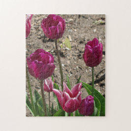 Lila Tulips Puzzle