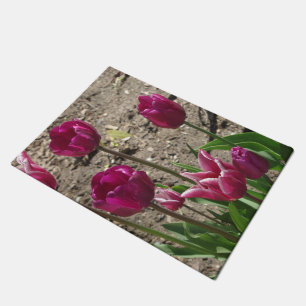Lila Tulips Türmatte