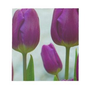 Lila Tulpe-Anmerkungs-Auflage Notizblock