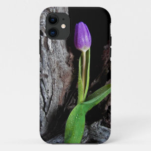 lila Tulpe aus Treibholz iPhone 11 Hülle