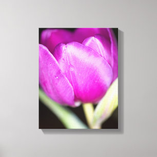 Lila Tulpe Blume Canvas drucken Leinwanddruck