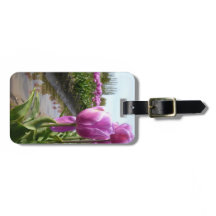 Lila Tulpe-Felder u. Reflexionen