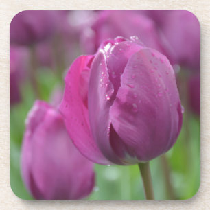 Lila Tulpe mit Wassertropfen Getränkeuntersetzer