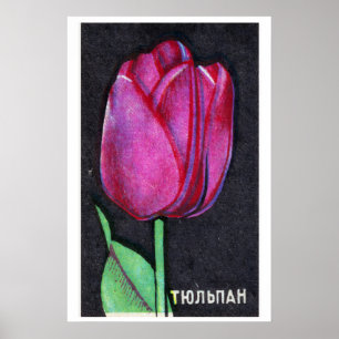 Lila Tulpe - Streichholzschachtel-Druck - Ästhetis Poster