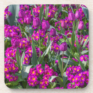 Lila Tulpen und Primelharte PlastikUntersetzer Getränkeuntersetzer
