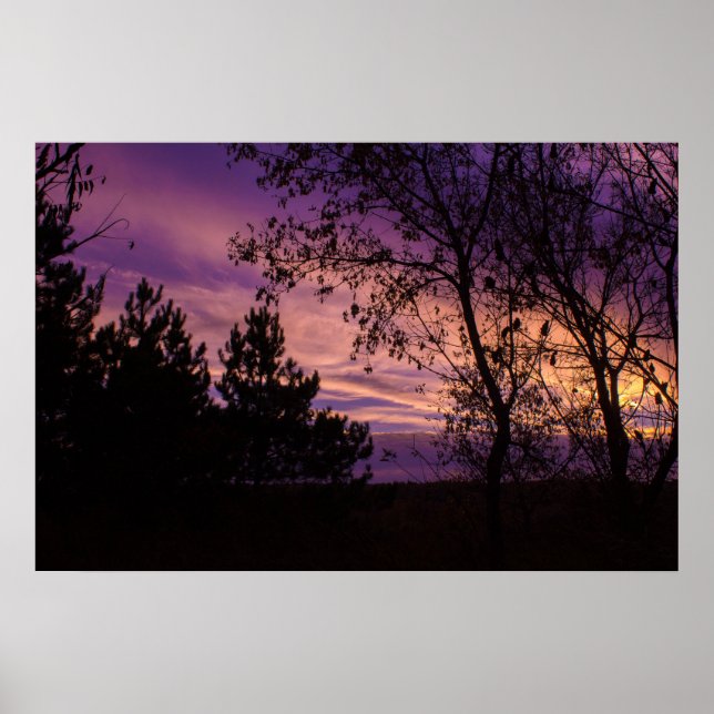 Lila Twilight Sky Tree Silhouette Poster (Vorne)