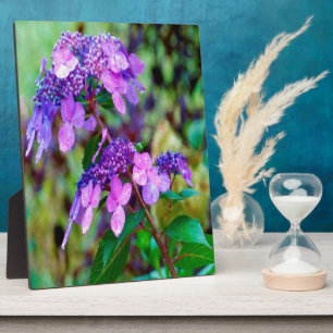 Lila Twist und Shout Hortensienblüte Fotoplatte