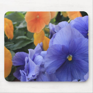 Lila u. orange Stiefmütterchen mit grünem Mousepad