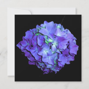 Lila und aquamarine Hydrangea, lila blaue Blumen Einladung