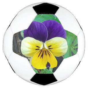 Lila- und Gelbblüte Fußball