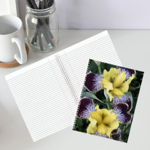 Lila und gelbe bartlose Schwertlilien Blumen Notizbuch