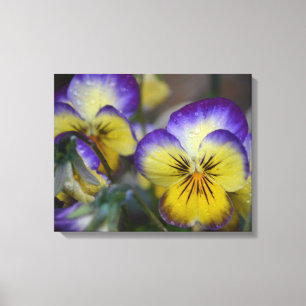 Lila und gelbe Blume gezackte Leinwand